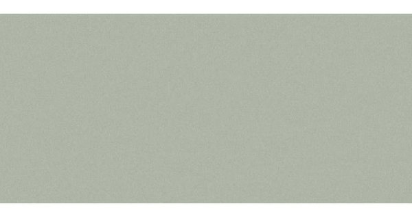 Сайдинг CEDRAL smooth (гладкий) С06 купить в Сочи